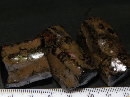 3 Large Rough Indonesian Fossil Opal Specimens 247.5cts Slight Red Fires :)