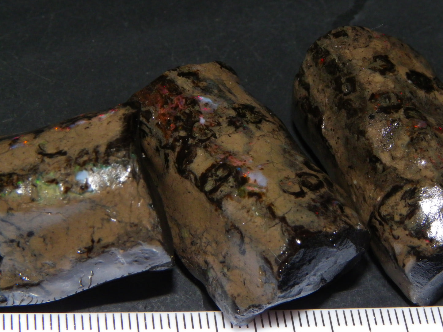 3 Large Rough Indonesian Fossil Opal Specimens 247.5cts Slight Red Fires :)