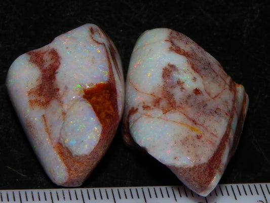 2 Nice Rubbed Coober Pedy Shell Opal Specimens 91cts Multicolour FIres Mussell Shells Australia