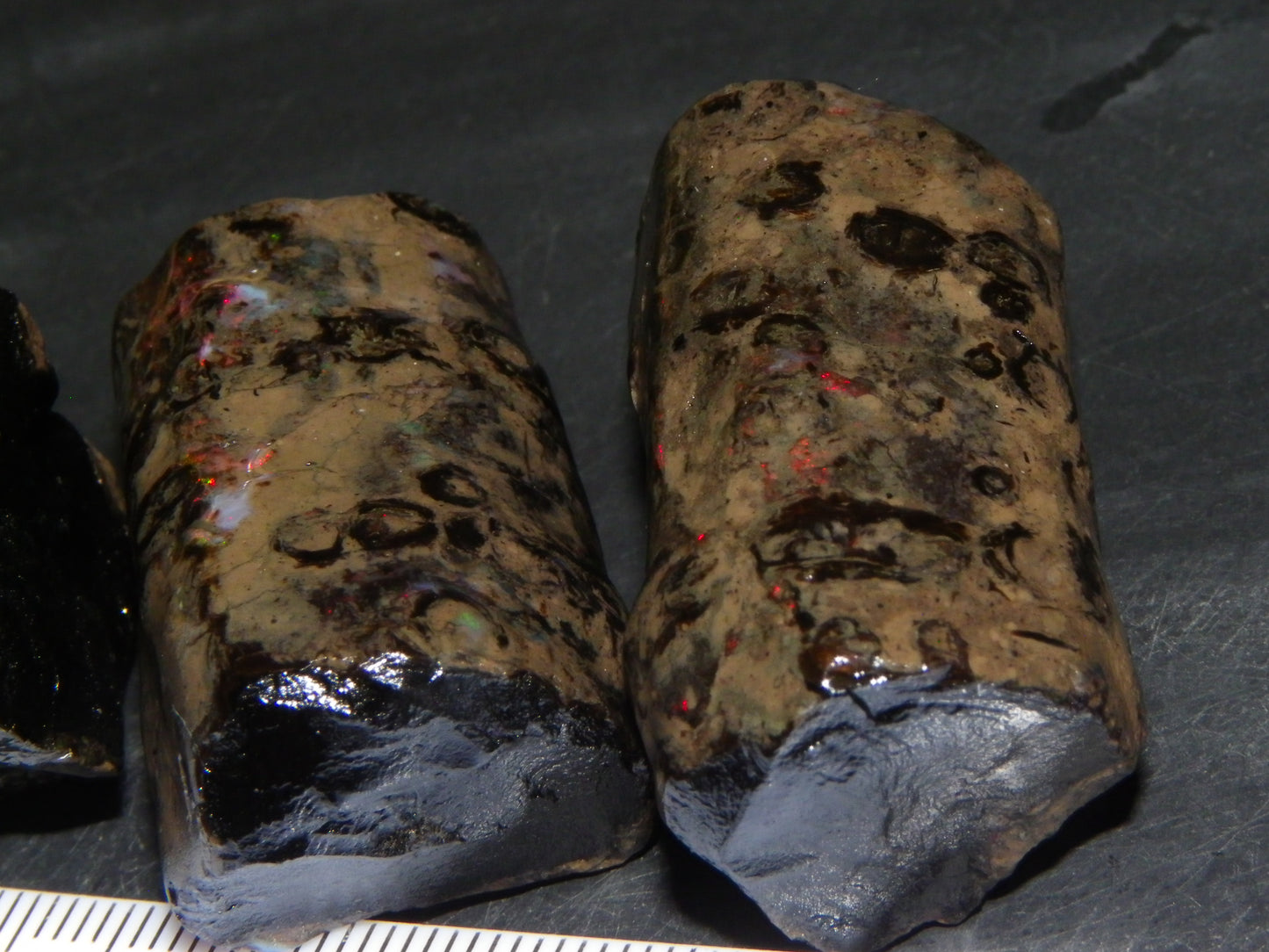 3 Large Rough Indonesian Fossil Opal Specimens 247.5cts Slight Red Fires :)