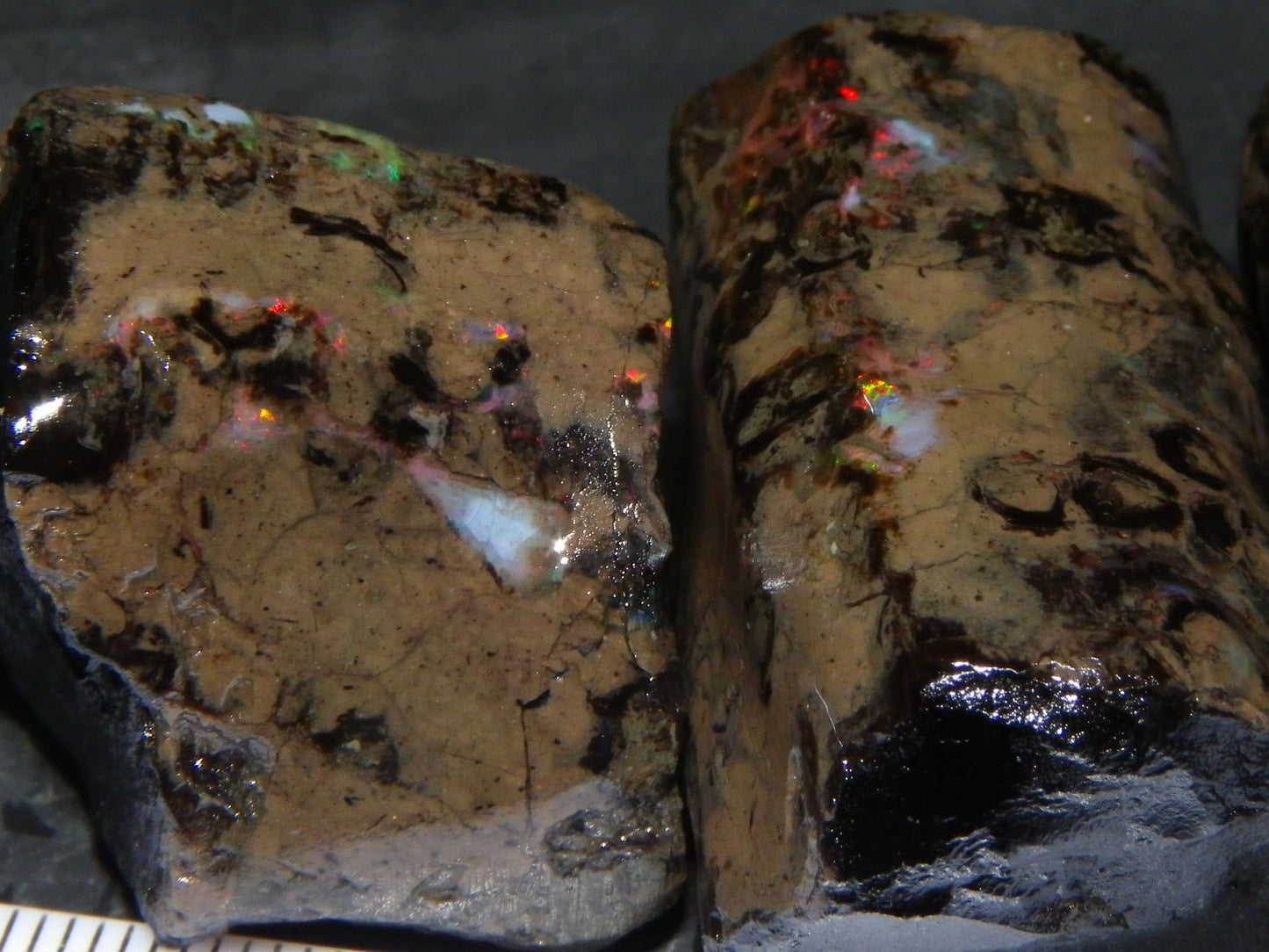 3 Large Rough Indonesian Fossil Opal Specimens 247.5cts Slight Red Fires :)