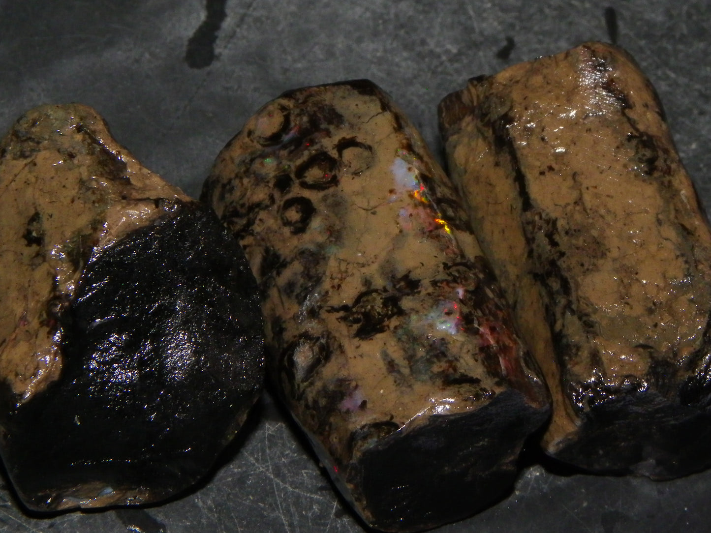 3 Large Rough Indonesian Fossil Opal Specimens 247.5cts Slight Red Fires :)