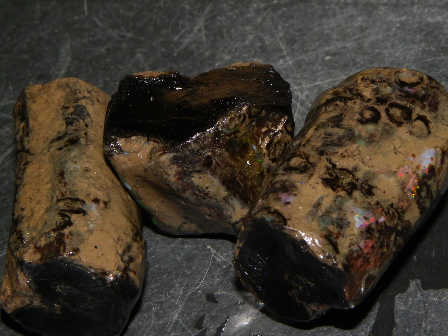 3 Large Rough Indonesian Fossil Opal Specimens 247.5cts Slight Red Fires :)