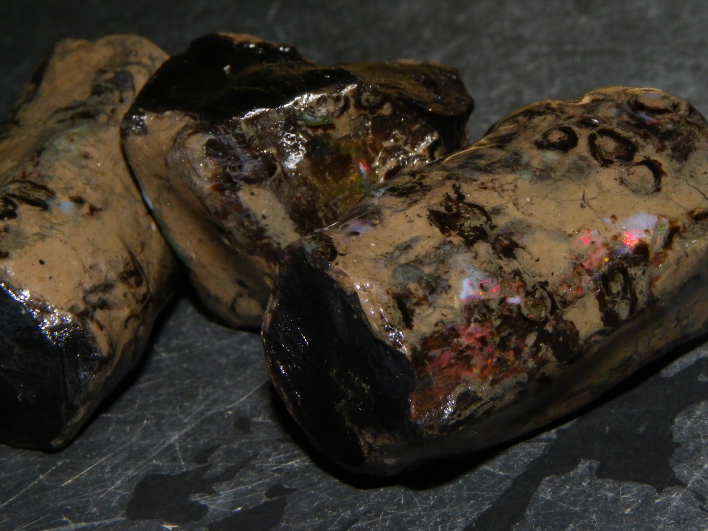 3 Large Rough Indonesian Fossil Opal Specimens 247.5cts Slight Red Fires :)