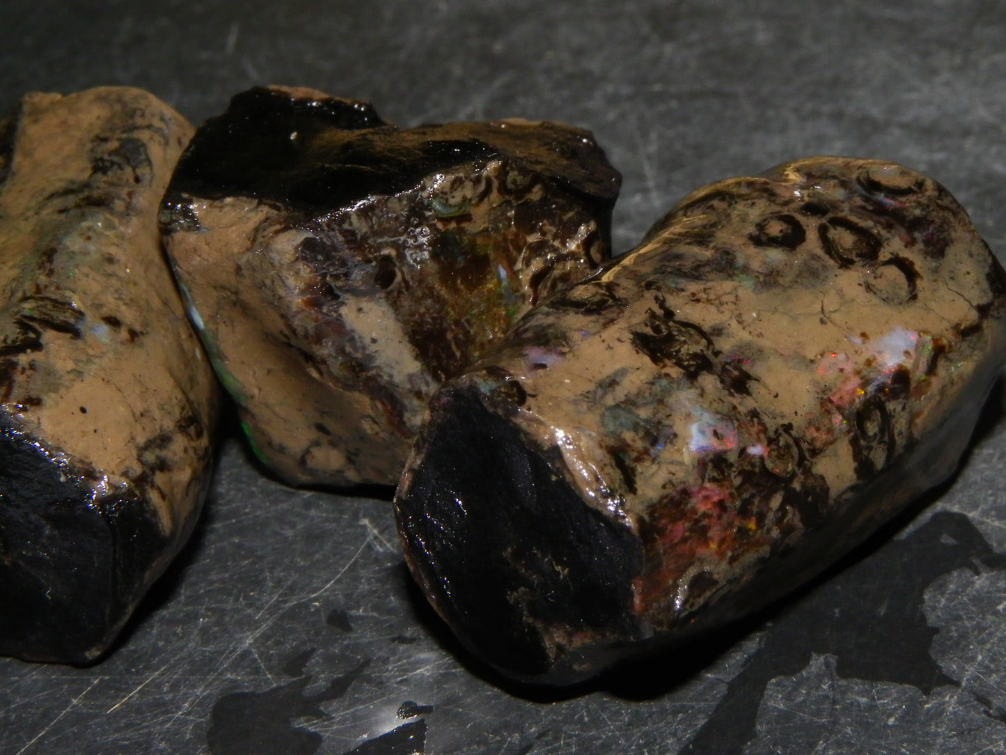 3 Large Rough Indonesian Fossil Opal Specimens 247.5cts Slight Red Fires :)