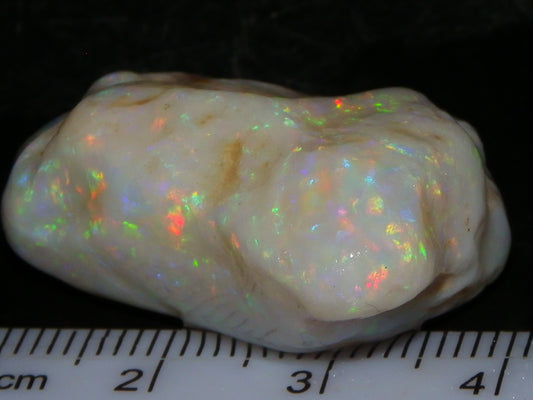 Gem Rough Coober Pedy Opal Stone 55.2cts Multicolour Fires Skin to Skin Collectors