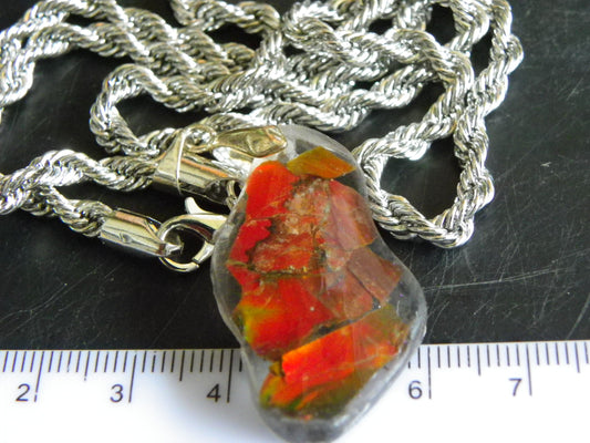 Nice Red/Orange Ammolite + resin Pendant 24cts ex Titanium Chain Bright Colours Alberta Canada