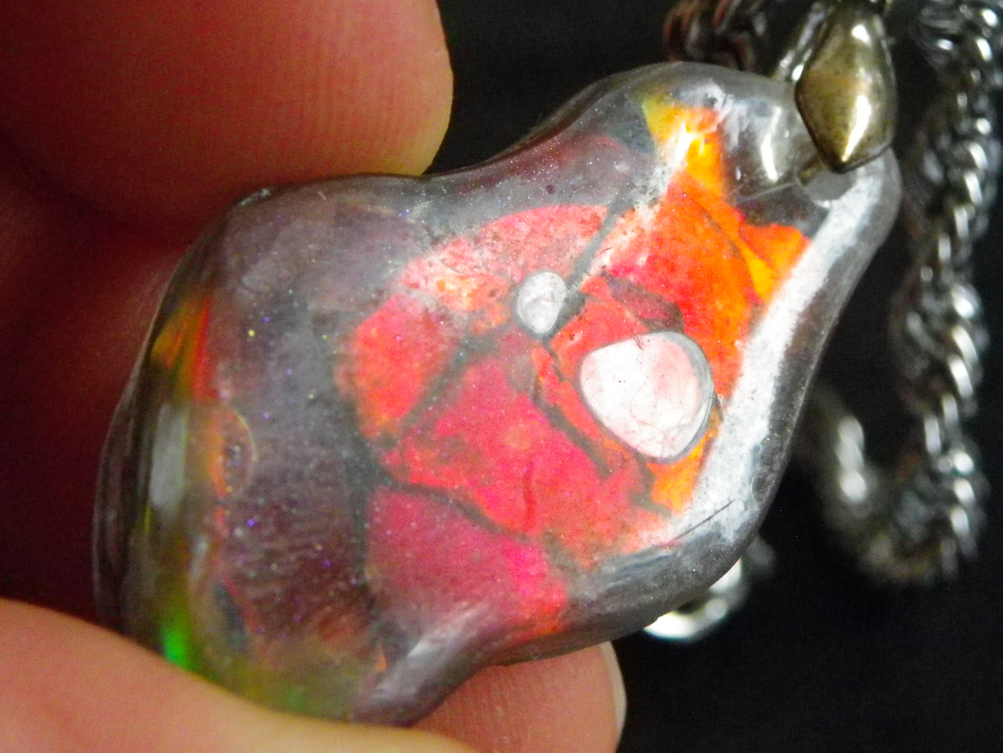 Nice Red/Orange Ammolite + resin Pendant 24cts ex Titanium Chain Bright Colours Alberta Canada