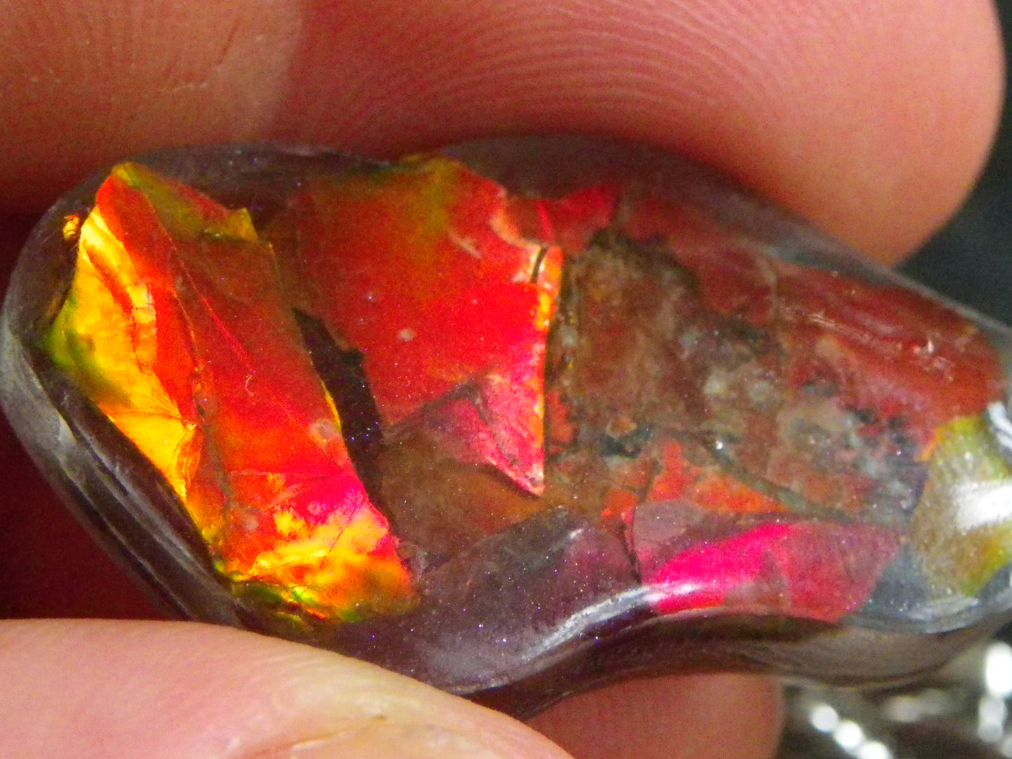 Nice Red/Orange Ammolite + resin Pendant 24cts ex Titanium Chain Bright Colours Alberta Canada