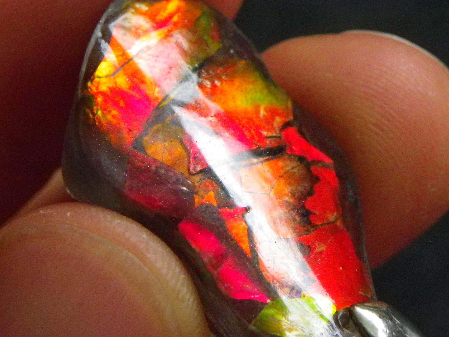 Nice Red/Orange Ammolite + resin Pendant 24cts ex Titanium Chain Bright Colours Alberta Canada