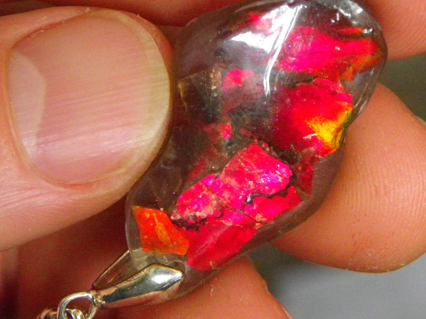 Nice Red/Orange Ammolite + resin Pendant 24cts ex Titanium Chain Bright Colours Alberta Canada