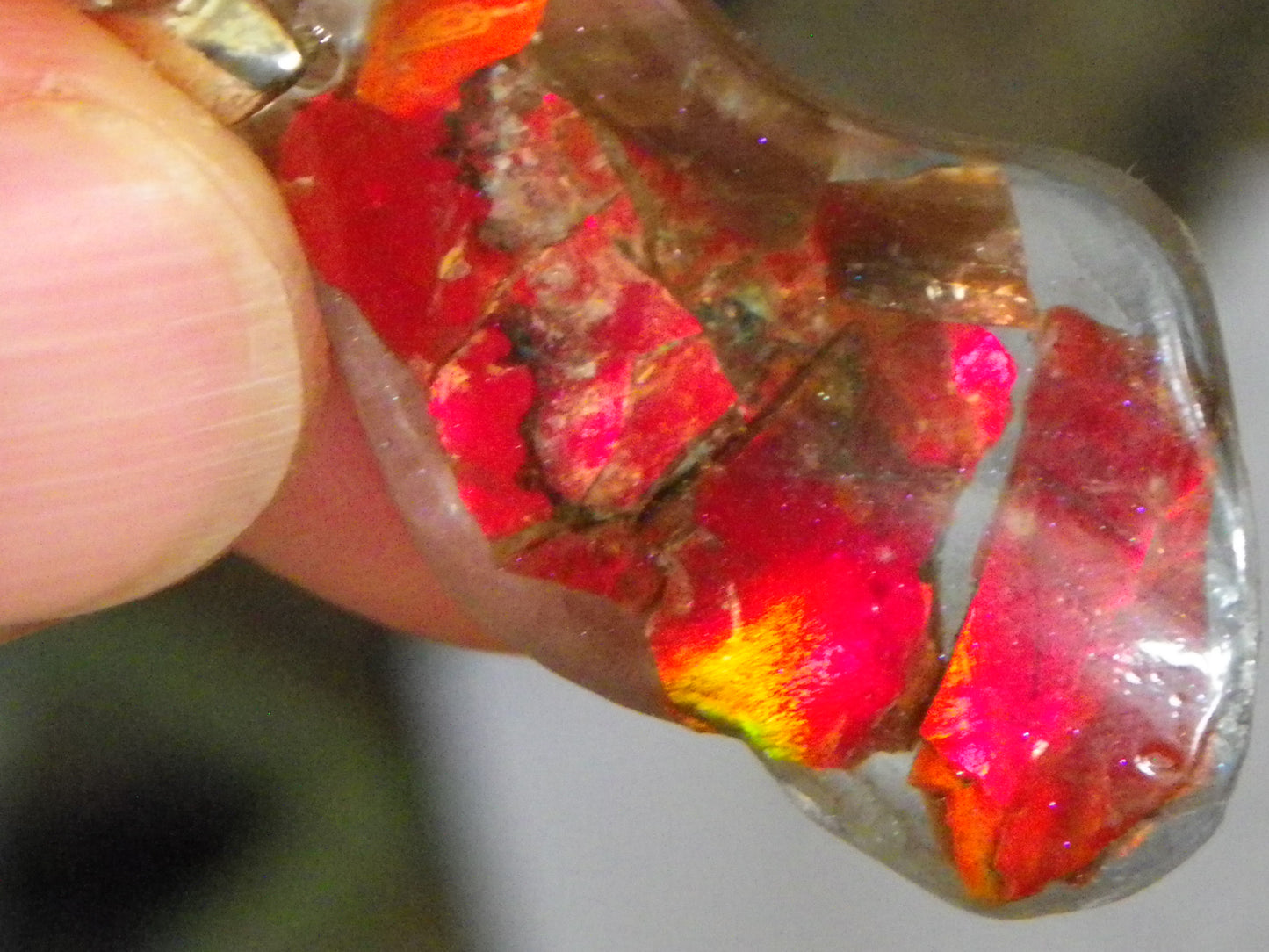 Nice Red/Orange Ammolite + resin Pendant 24cts ex Titanium Chain Bright Colours Alberta Canada