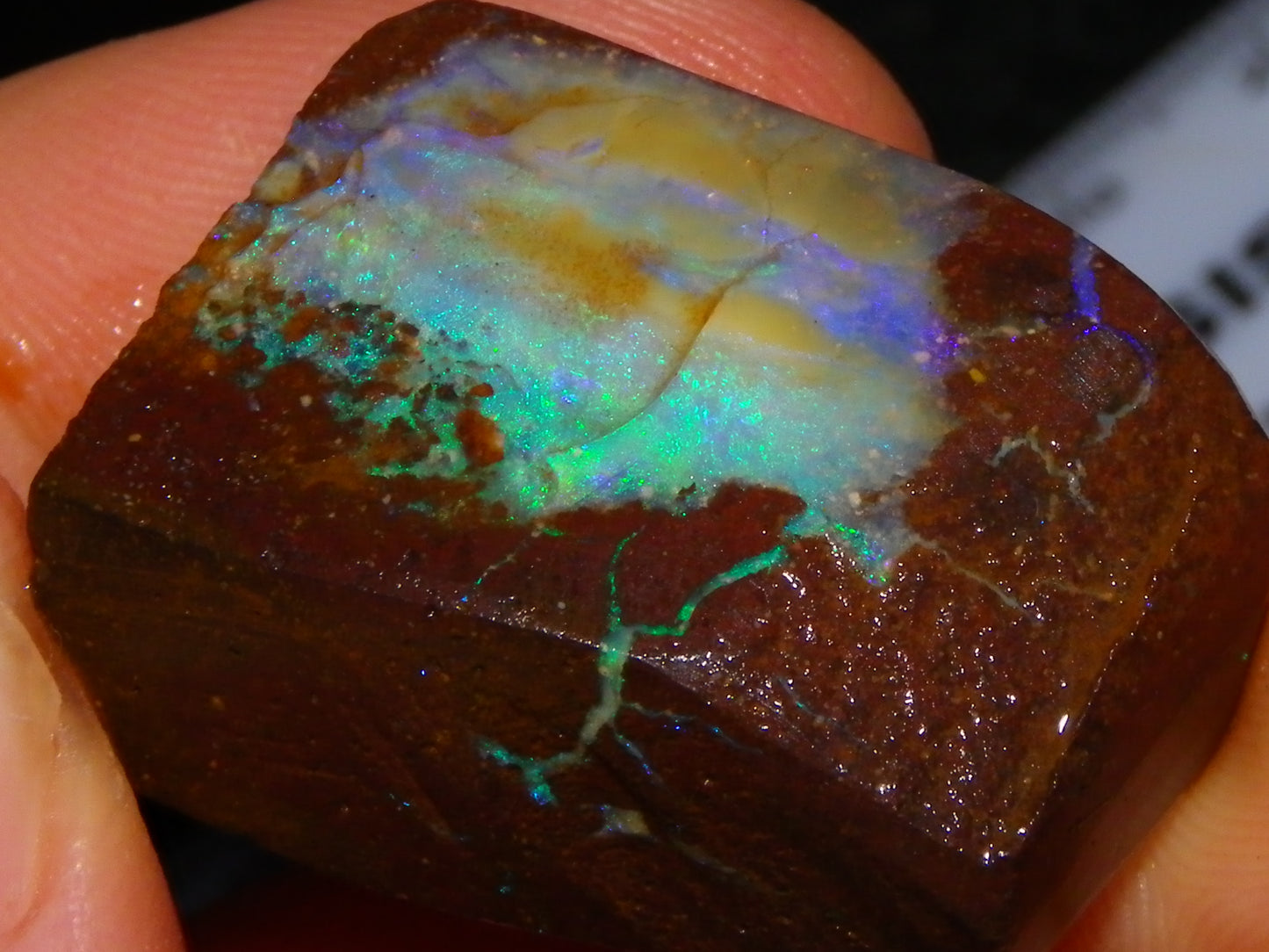 Nice Rough/Sliced/Rubbed Boulder Opal 469cts Winton, Queensland Blue/Greens