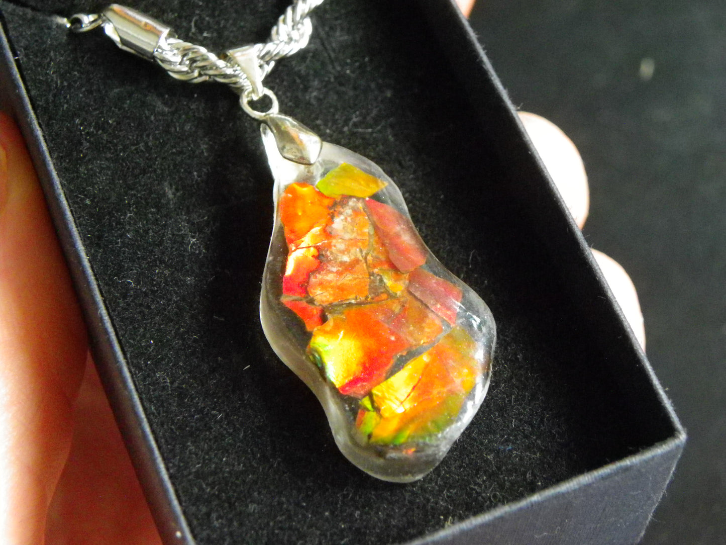 Nice Red/Orange Ammolite + resin Pendant 24cts ex Titanium Chain Bright Colours Alberta Canada