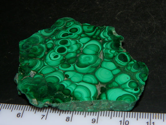 Nice Malachite Polished Slice/Specimen 208cts Green Patterns/Botroydal :)
