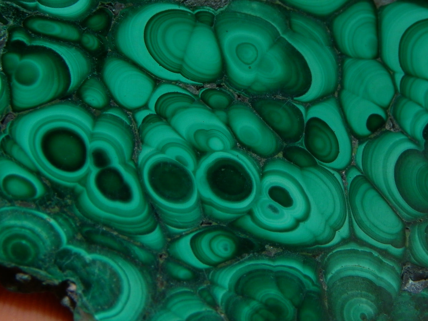 Nice Malachite Polished Slice/Specimen 208cts Green Patterns/Botroydal :)