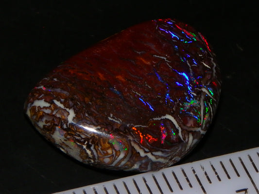 Nice Quality Cut/Polished Koroit Opal Cab 14.25cts Red/Blue Fires/Nut Patterns