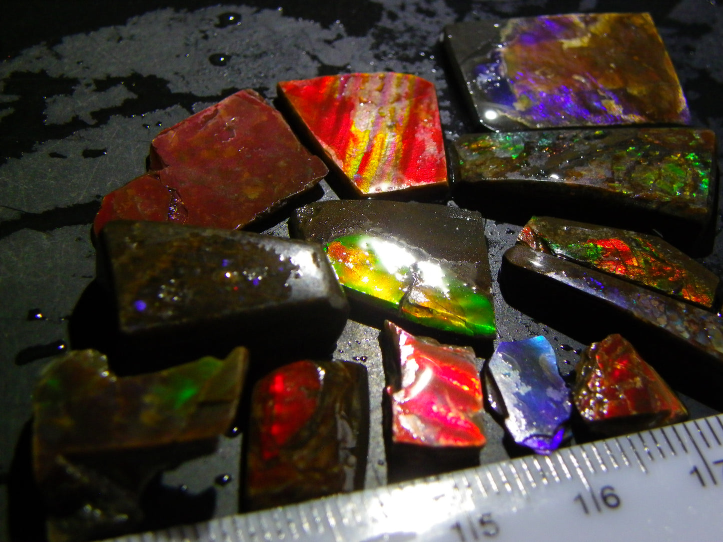 Nice Rough/Sliced Ammolite Parcel 80cts Alberta Canada Multicolours :)
