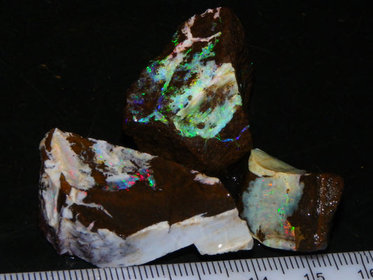 3 Nice Rough Boulder Opals 216.5cts Queensland Australia Red/Green/Blue Fires