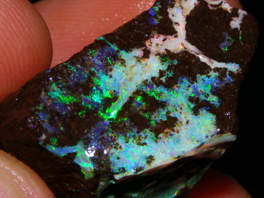 3 Nice Rough Boulder Opals 216.5cts Queensland Australia Red/Green/Blue Fires