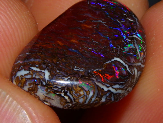 Nice Quality Cut/Polished Koroit Opal Cab 14.25cts Red/Blue Fires/Nut Patterns