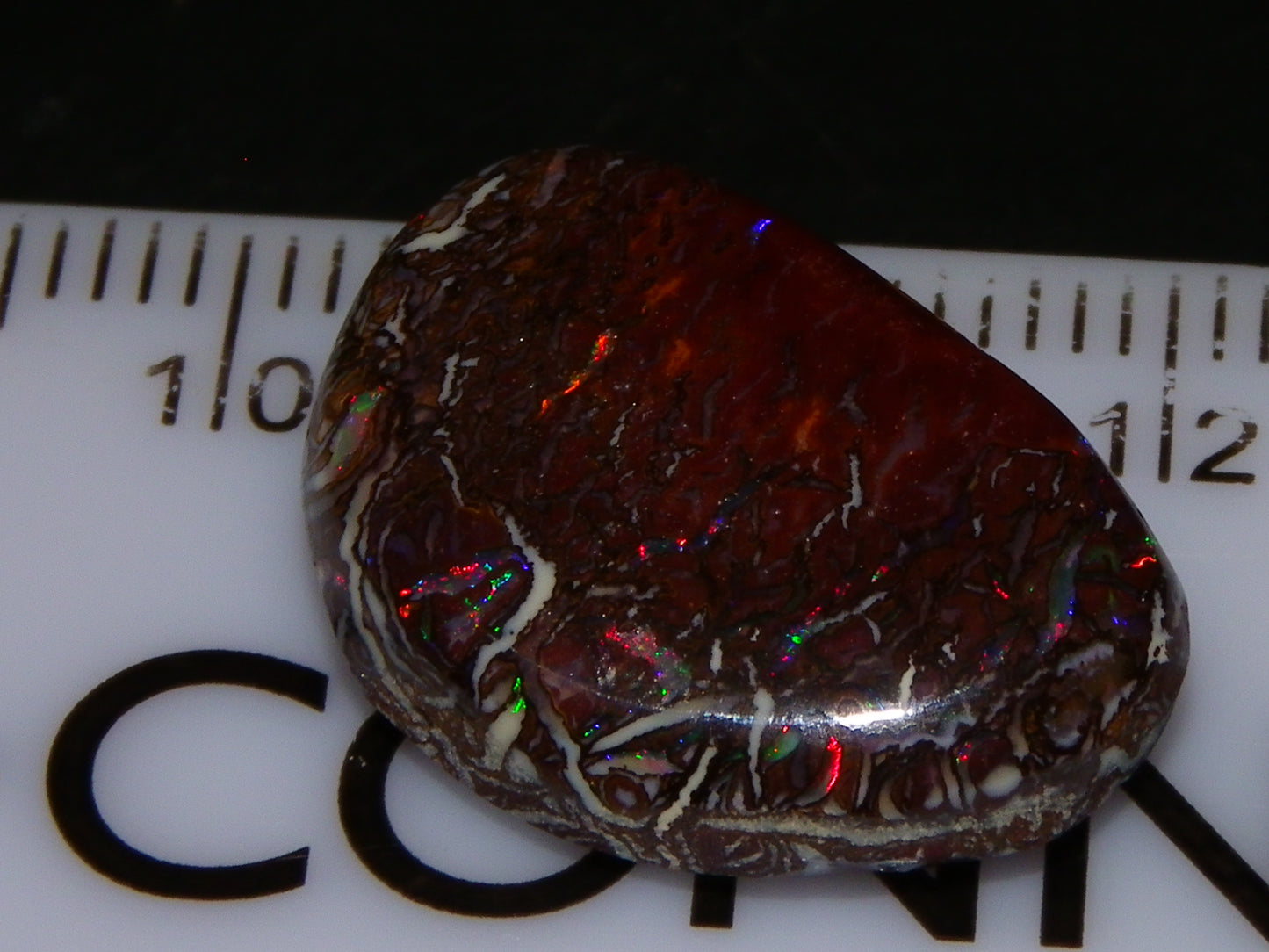 Nice Quality Cut/Polished Koroit Opal Cab 14.25cts Red/Blue Fires/Nut Patterns