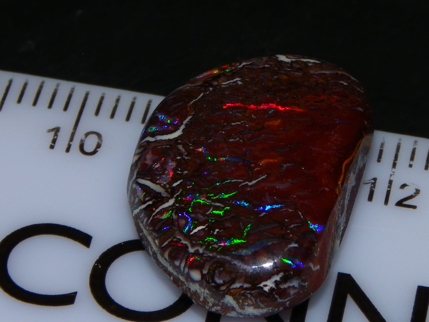 Nice Quality Cut/Polished Koroit Opal Cab 14.25cts Red/Blue Fires/Nut Patterns