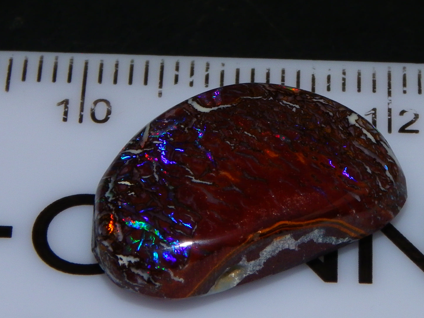 Nice Quality Cut/Polished Koroit Opal Cab 14.25cts Red/Blue Fires/Nut Patterns