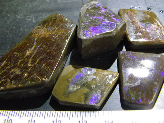 Nice Purple Ammolite Specimens 314cts Alberta Canada On Host Rock Part Polished