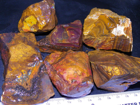 6 Large Koroit Opal Rough/Specimens 3144cts Ironstones/Patterns Some Fires :)