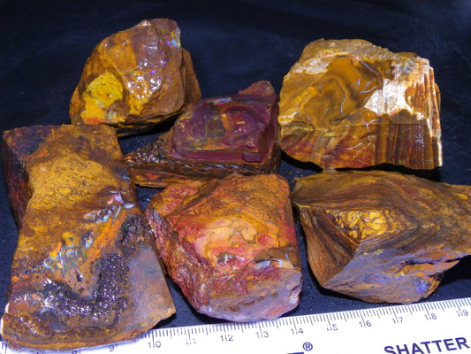 6 Large Koroit Opal Rough/Specimens 3144cts Ironstones/Patterns Some Fires :)