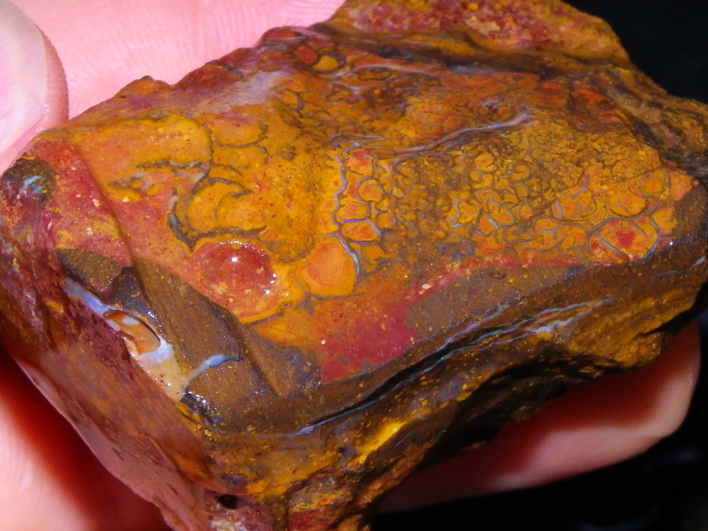 6 Large Koroit Opal Rough/Specimens 3144cts Ironstones/Patterns Some Fires :)