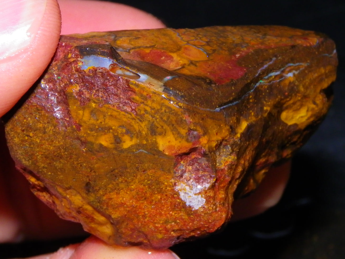 6 Large Koroit Opal Rough/Specimens 3144cts Ironstones/Patterns Some Fires :)