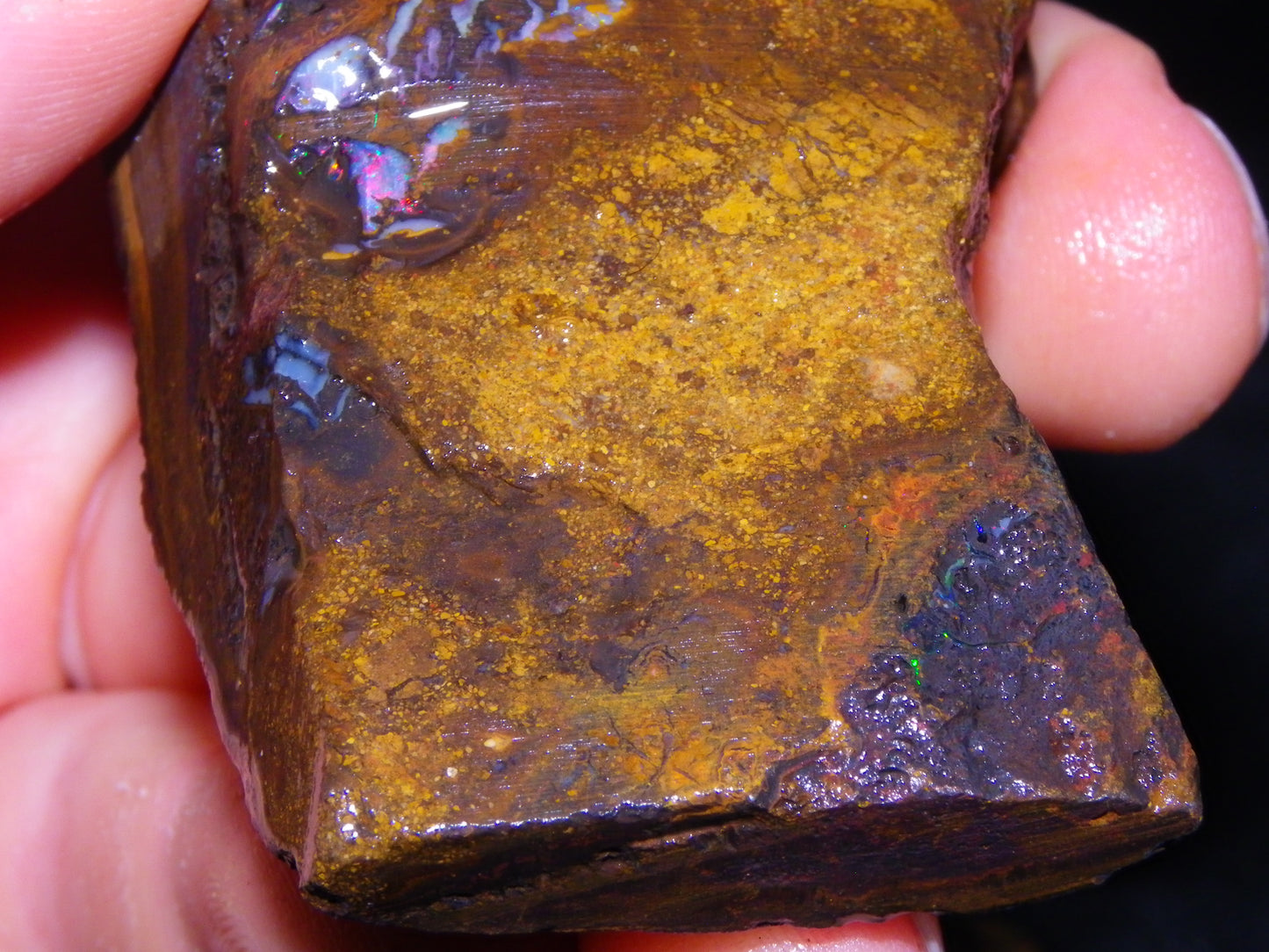 6 Large Koroit Opal Rough/Specimens 3144cts Ironstones/Patterns Some Fires :)