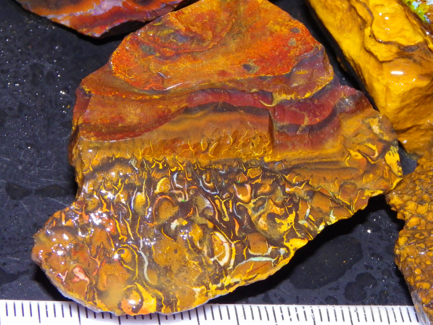 Nice Rough Koroit Opal Parcel 1685cts Queensland Au Patterns Some Fires :)