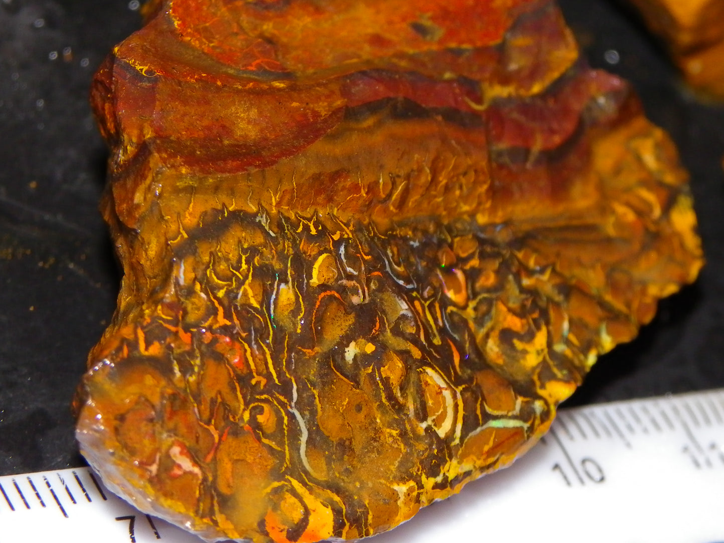 Nice Rough Koroit Opal Parcel 1685cts Queensland Au Patterns Some Fires :)