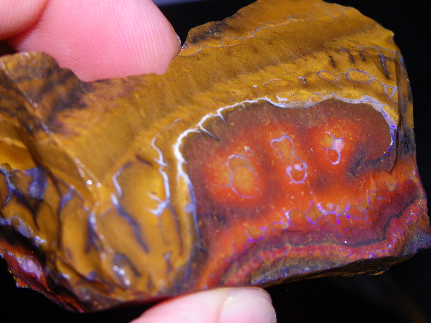 Nice Rough Koroit Opal Parcel 1685cts Queensland Au Patterns Some Fires :)