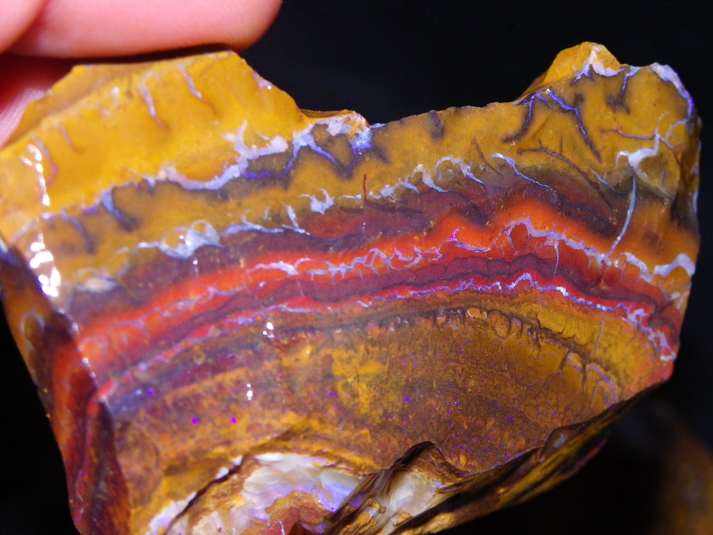 Nice Rough Koroit Opal Parcel 1685cts Queensland Au Patterns Some Fires :)