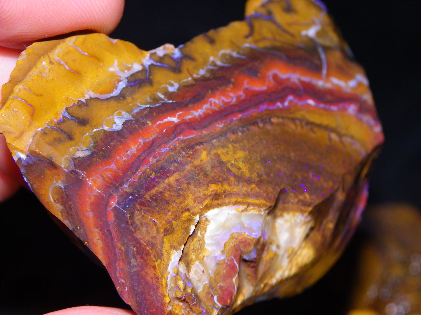 Nice Rough Koroit Opal Parcel 1685cts Queensland Au Patterns Some Fires :)