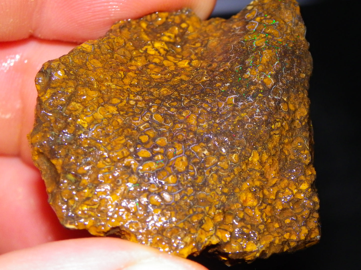 Nice Rough Koroit Opal Parcel 1685cts Queensland Au Patterns Some Fires :)