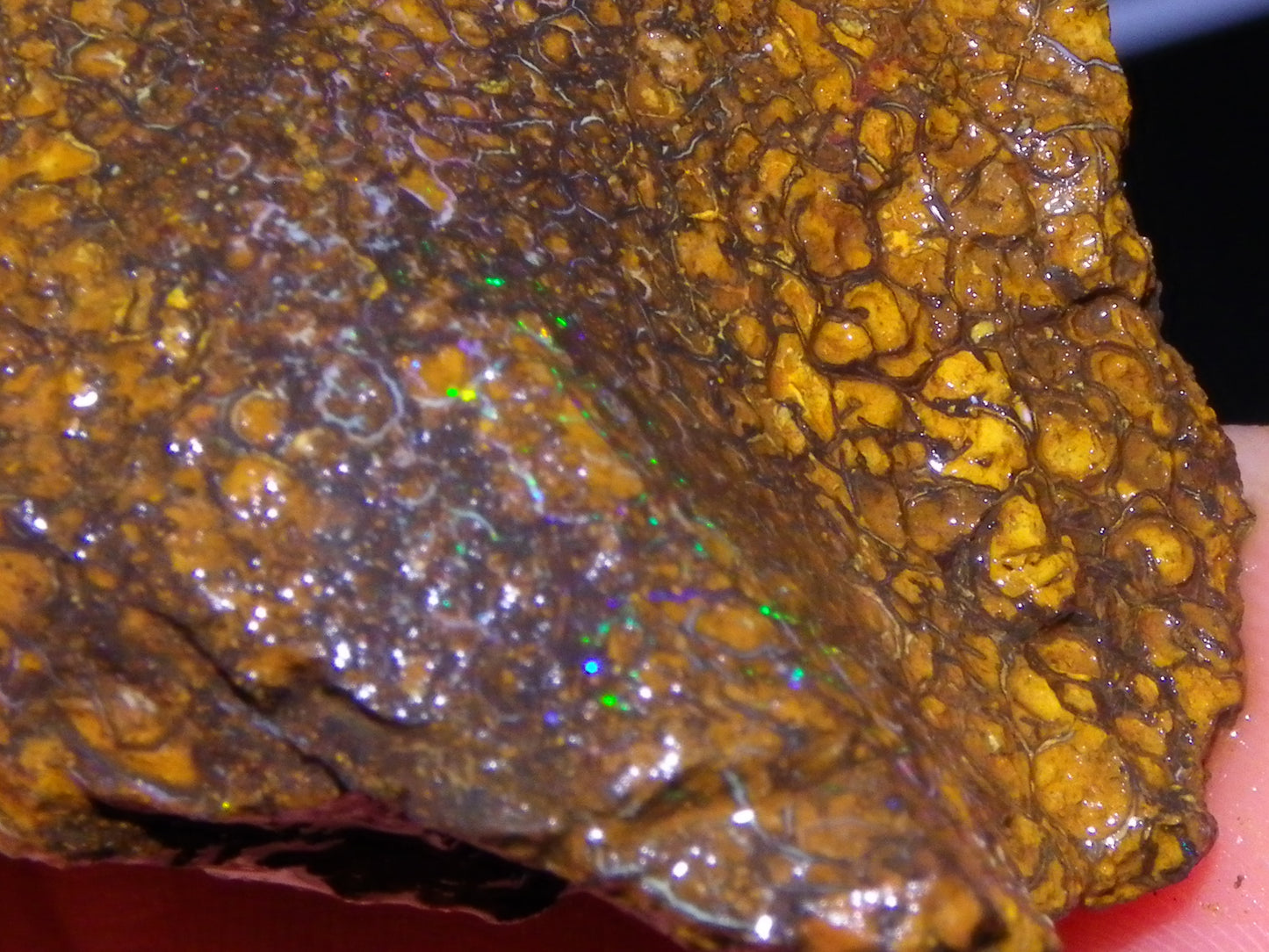 Nice Rough Koroit Opal Parcel 1685cts Queensland Au Patterns Some Fires :)