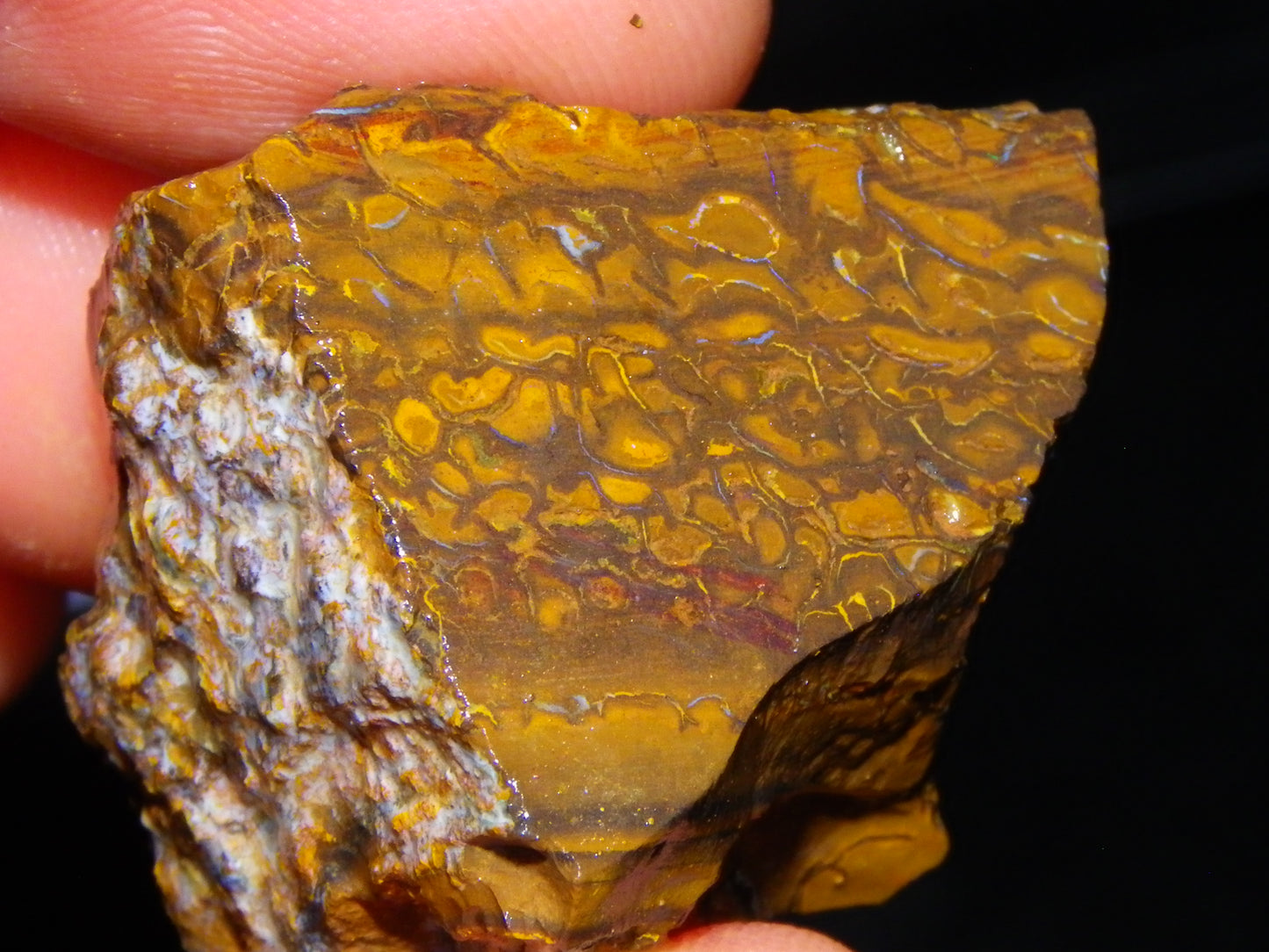 Nice Rough Koroit Opal Parcel 1685cts Queensland Au Patterns Some Fires :)