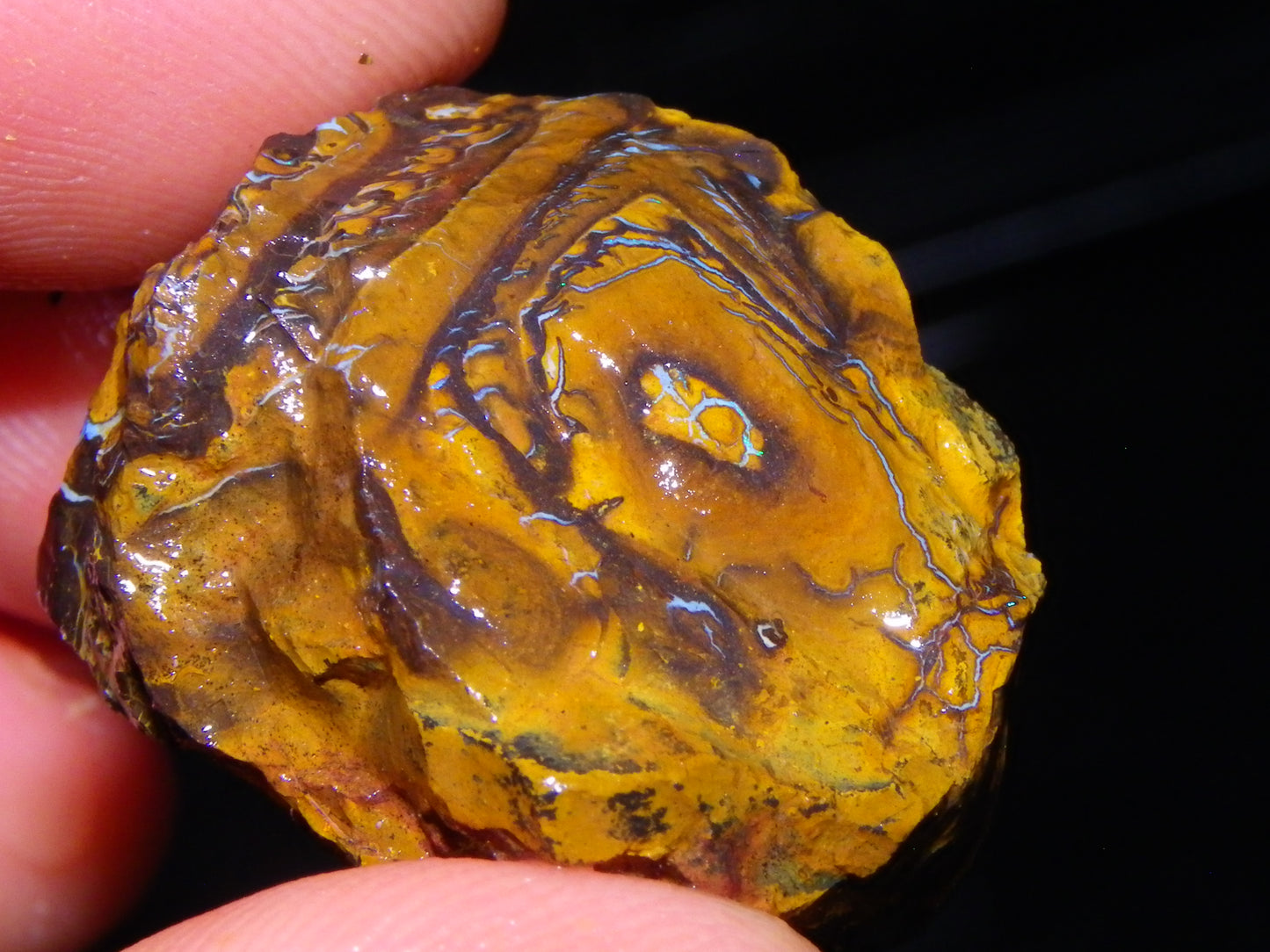 Nice Rough Koroit Opal Parcel 1685cts Queensland Au Patterns Some Fires :)