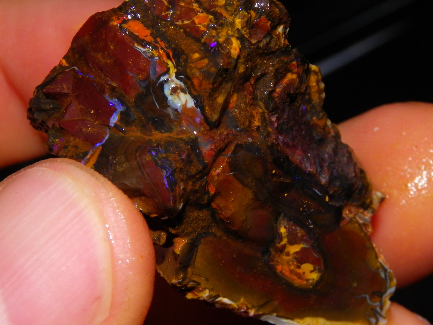 Nice Rough Koroit Opal Parcel 1685cts Queensland Au Patterns Some Fires :)