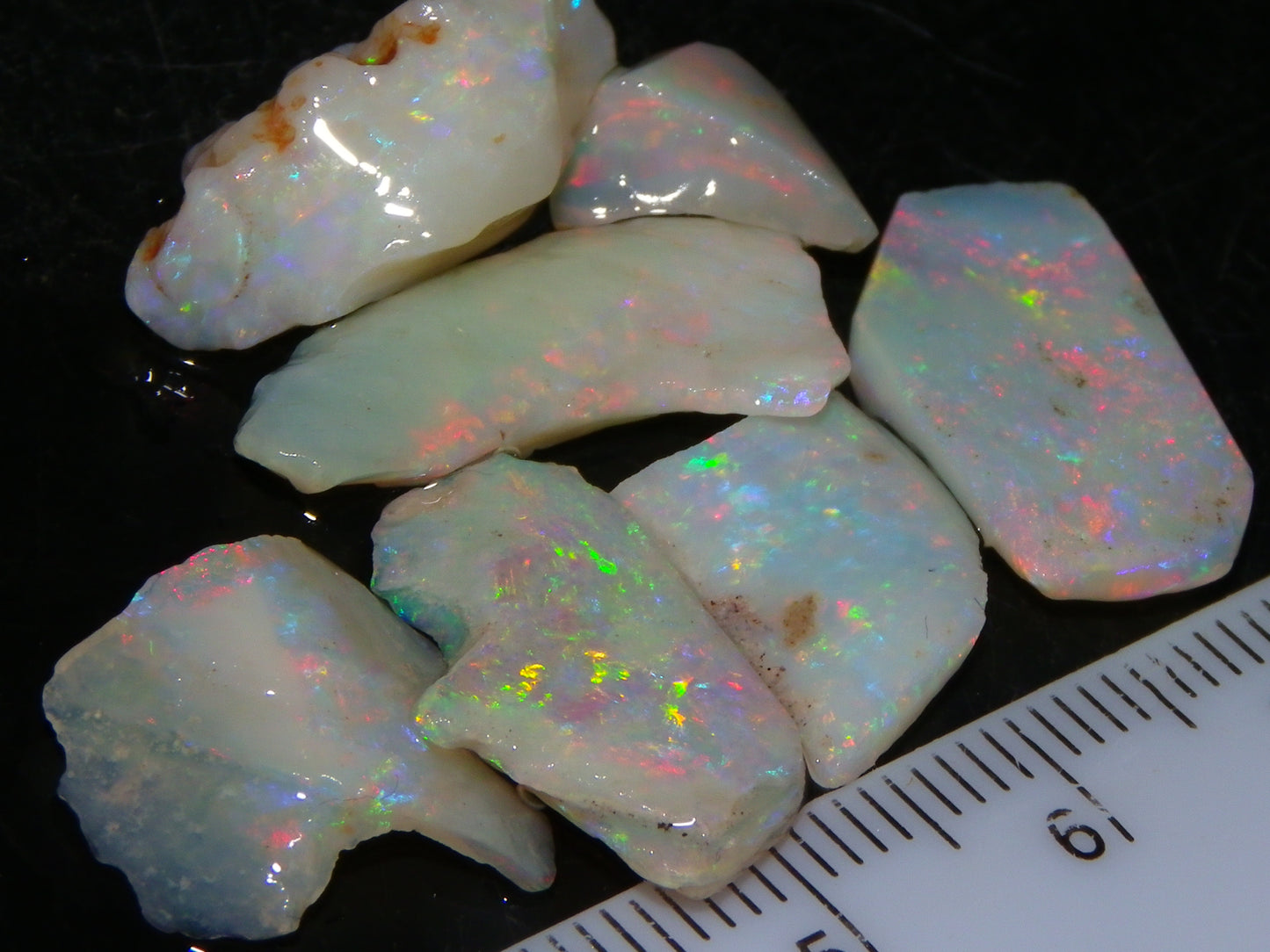 Nice Gem Skins Shell Opals 23cts Coober Pedy Australia Multiucolour Fires Specimens