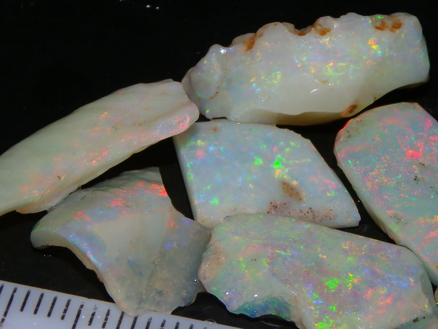 Nice Gem Skins Shell Opals 23cts Coober Pedy Australia Multiucolour Fires Specimens