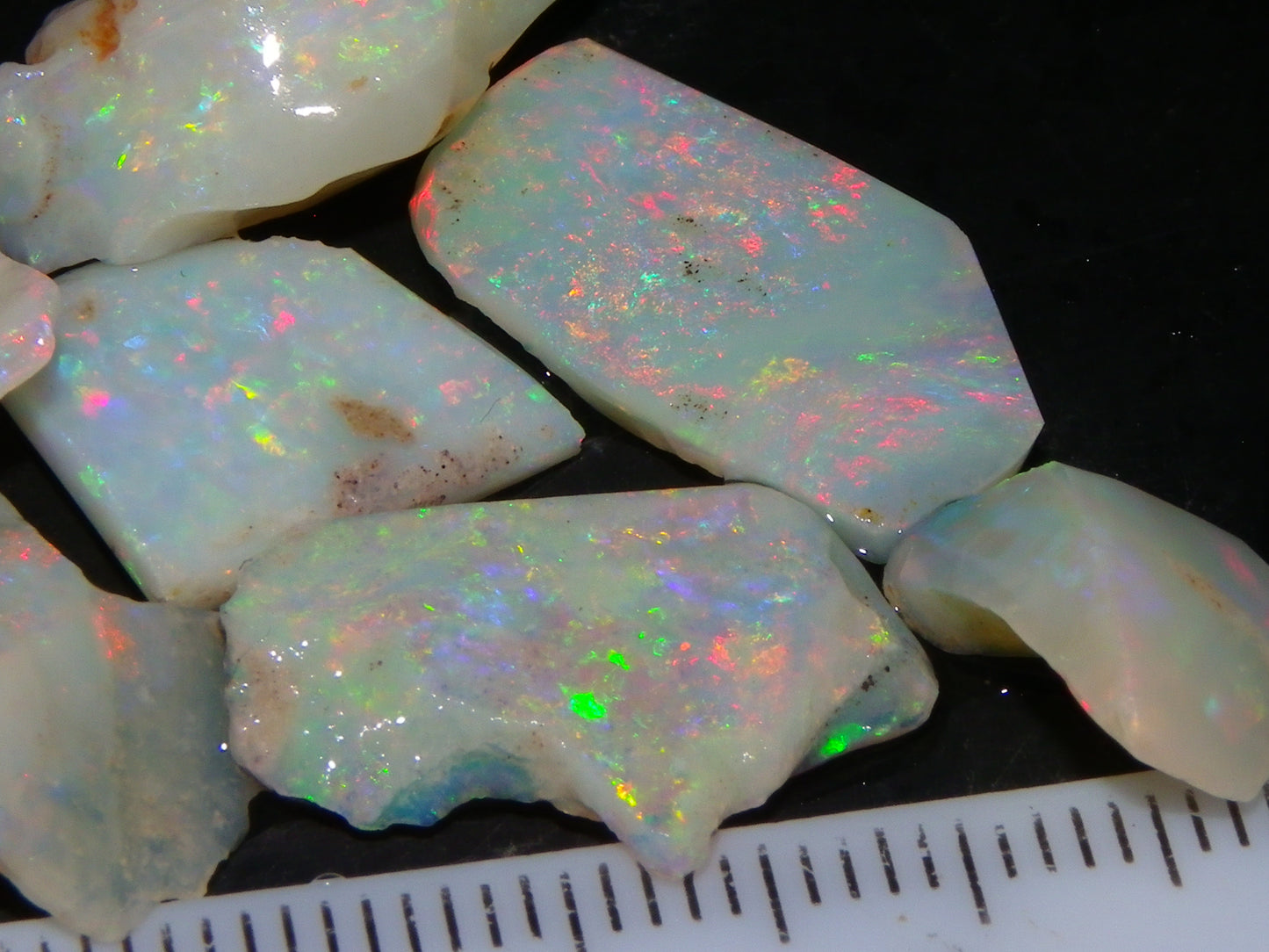 Nice Gem Skins Shell Opals 23cts Coober Pedy Australia Multiucolour Fires Specimens