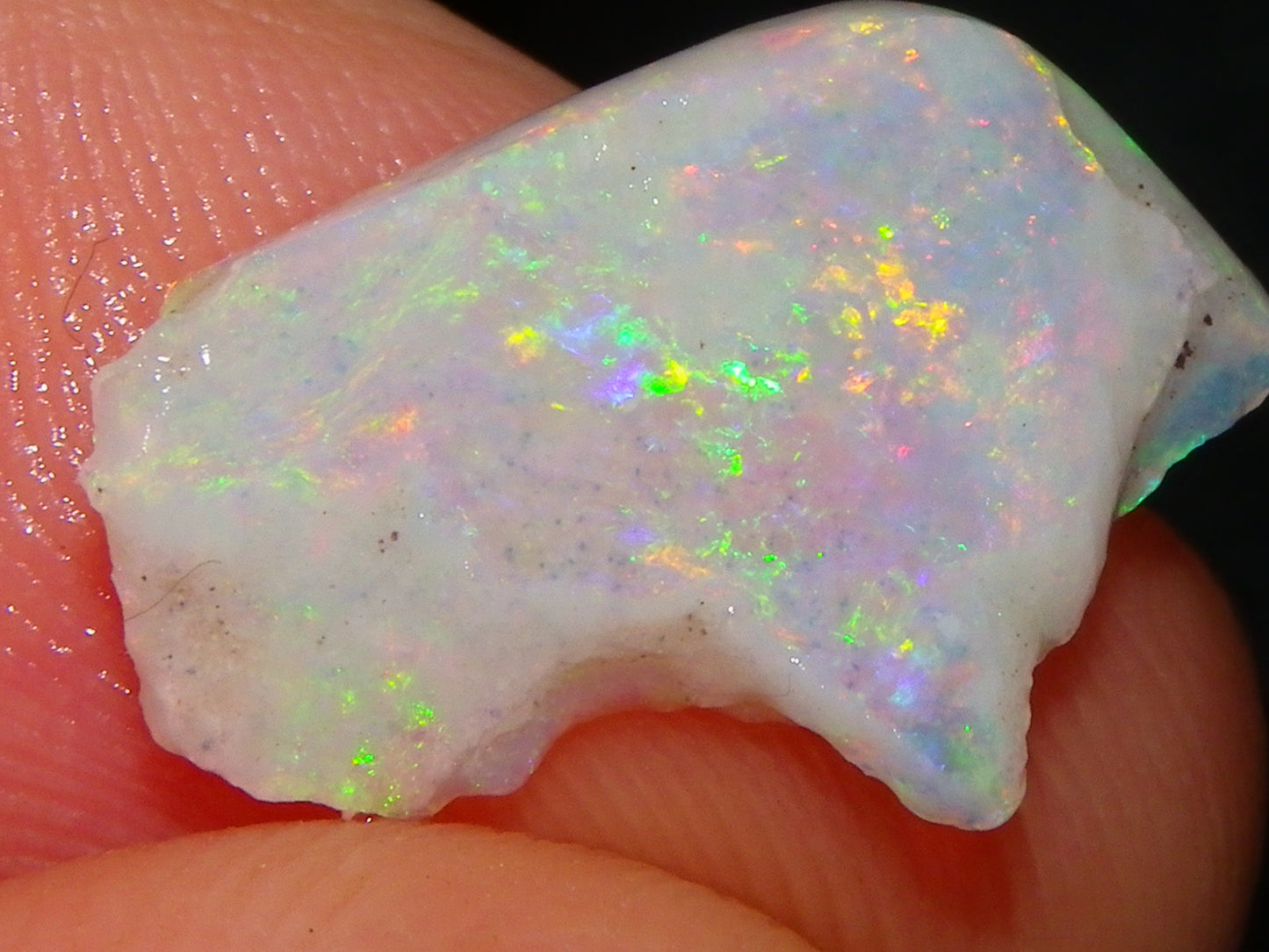 Nice Gem Skins Shell Opals 23cts Coober Pedy Australia Multiucolour Fires Specimens