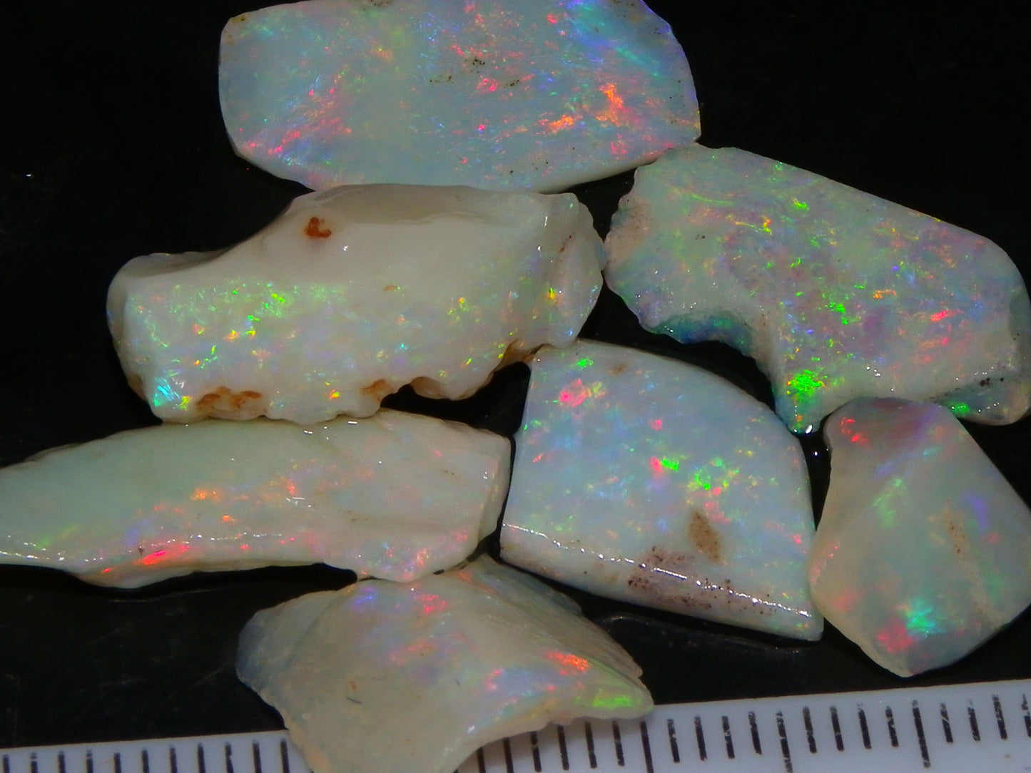 Nice Gem Skins Shell Opals 23cts Coober Pedy Australia Multiucolour Fires Specimens