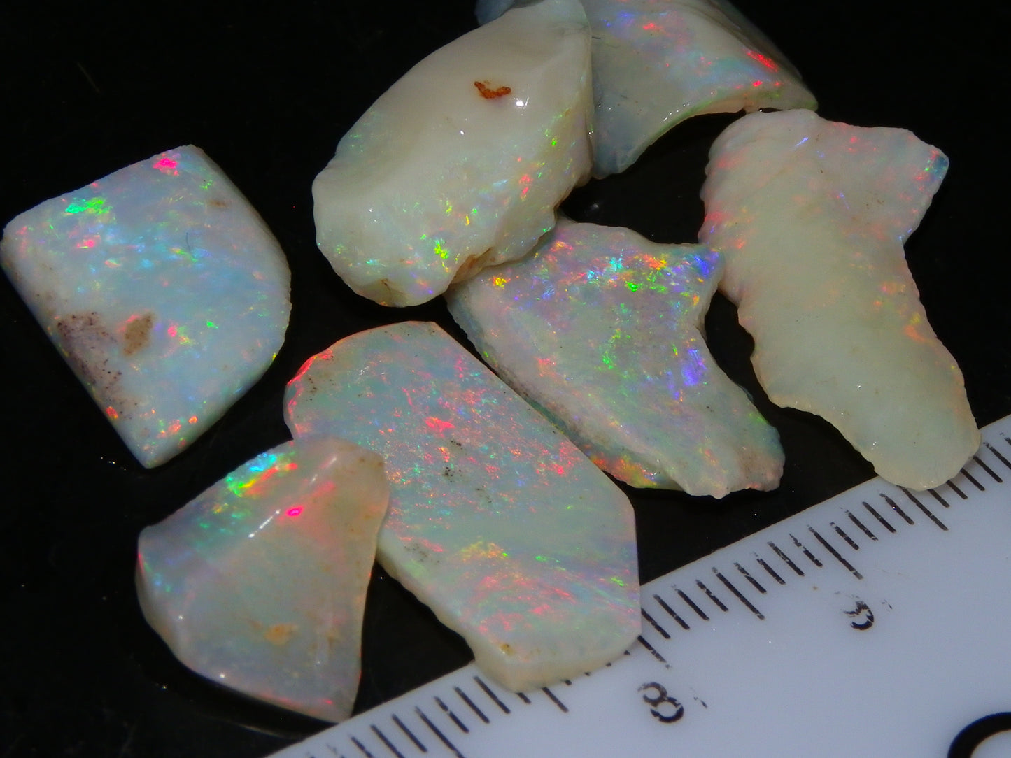 Nice Gem Skins Shell Opals 23cts Coober Pedy Australia Multiucolour Fires Specimens